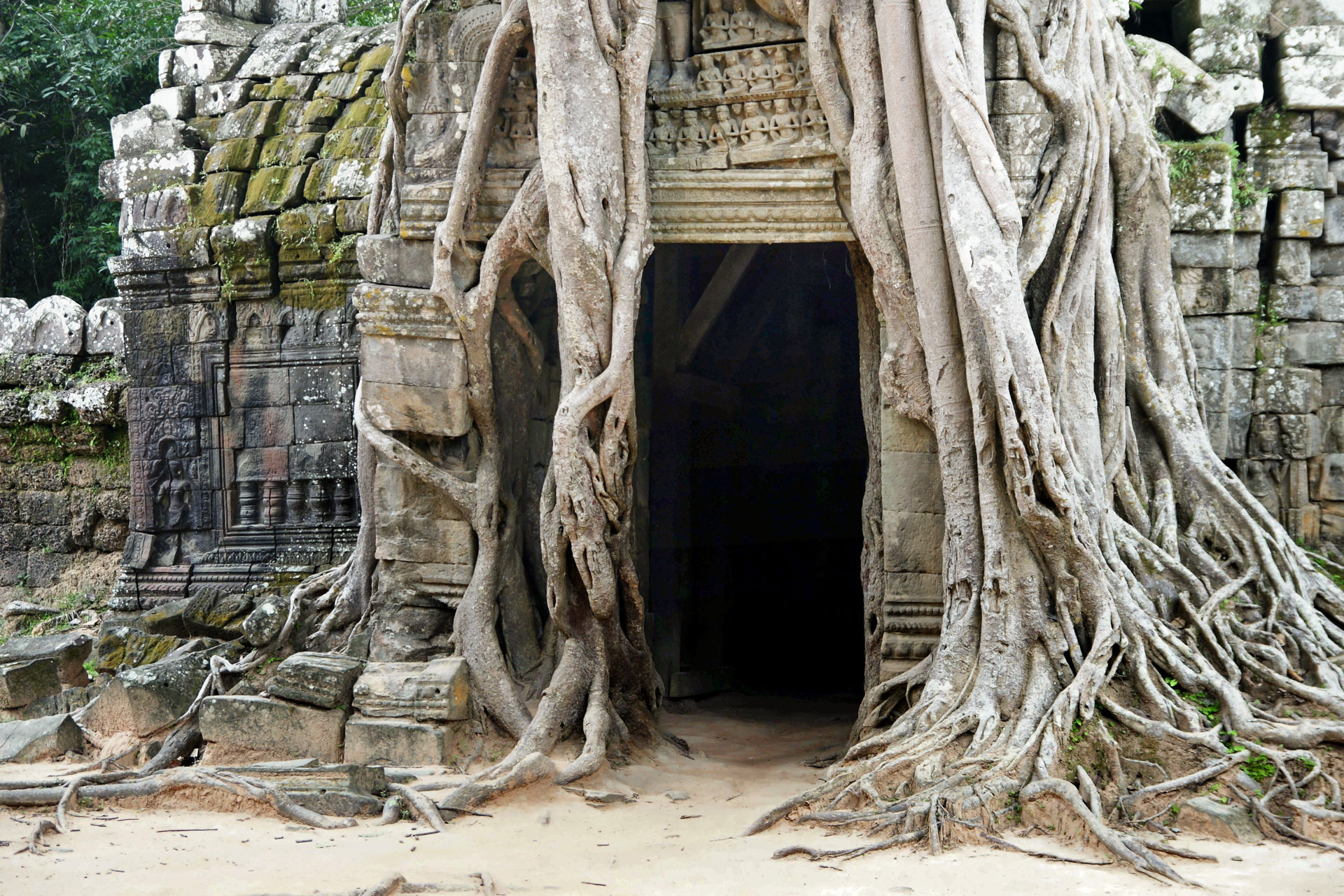 Der Ta Som ("Der Vorfahre Som") ist ein buddhistischer Tempel am östlichen Ende des nordöstlichen Baray. Der Tempel wurde von Jayavarman VII. gegen Ende des zwölften Jahrhunderts errichtet.
